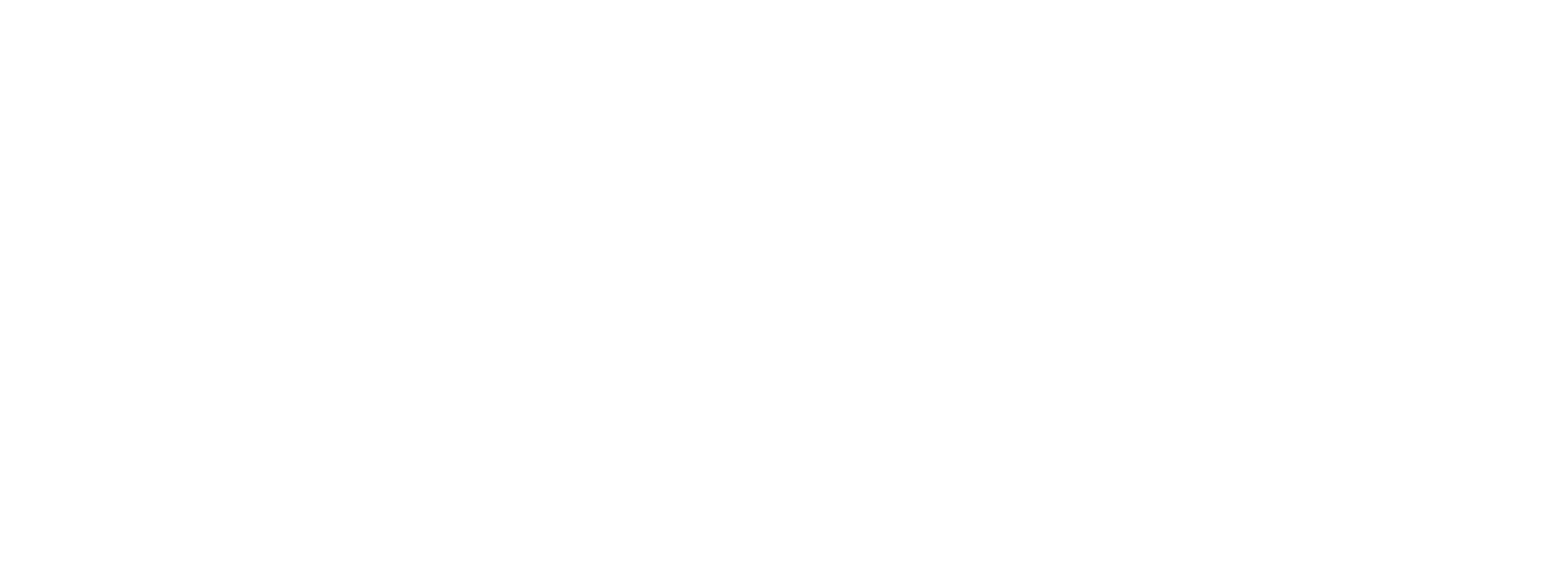 ib Rauscher_elektromobilitaet-w Elektromobilität
